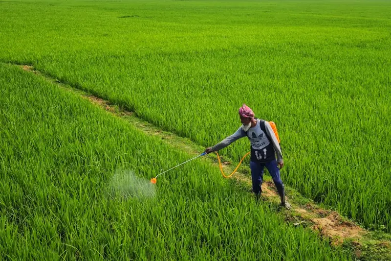 塑料改性中常用塑料助剂的作用机理与选型要点解析